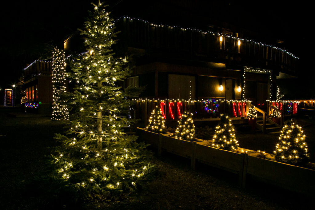 Christmas holiday lights 3